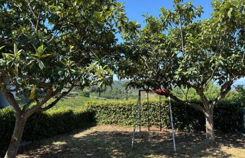 Casa Vacanze L'Amedeo - Foto 6