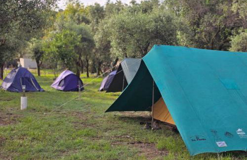 Residence Toscano - Foto 32