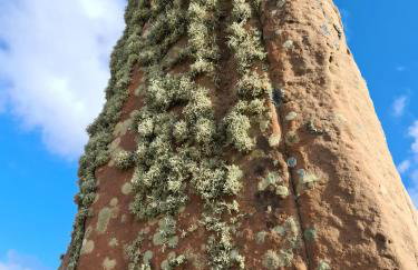 Cromla Cottage - Photo 42