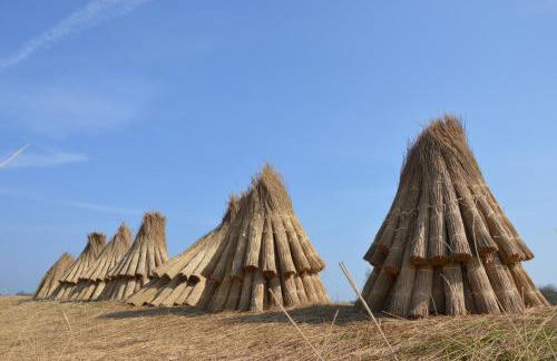 Museumshof Puddemin - Foto 18