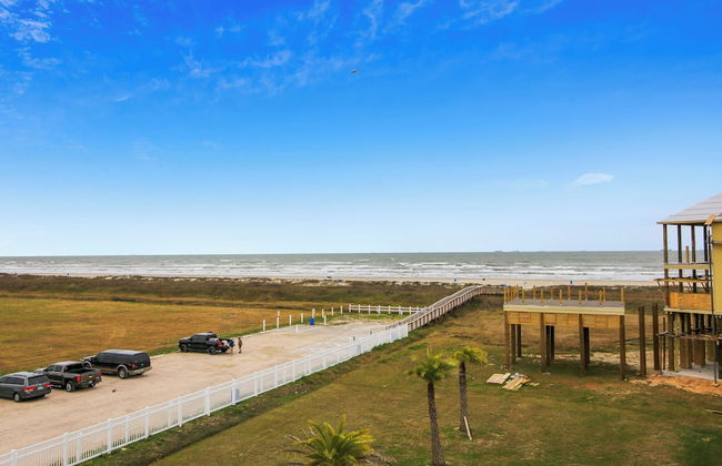 Skin and Bones - Foto 12