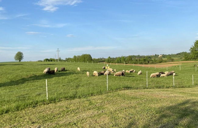 Villa Stone - Foto 38