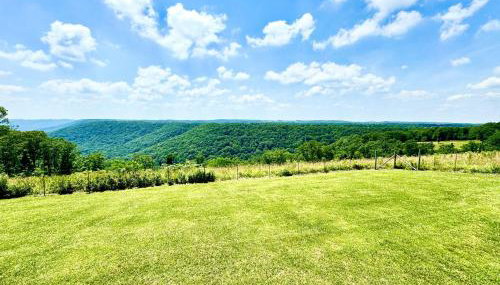 Henbest Hideaway Cabin Boston mountains -Millcreek - Foto 2