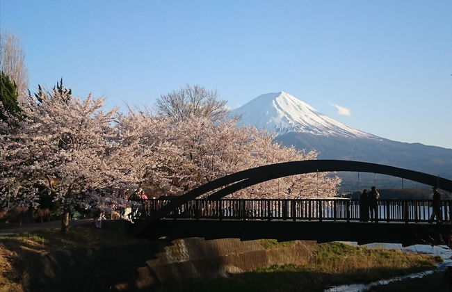 Lake Villa Kawaguchiko - Photo 48