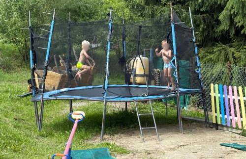 Wzgórze w Cieniu Lasu - Photo 43