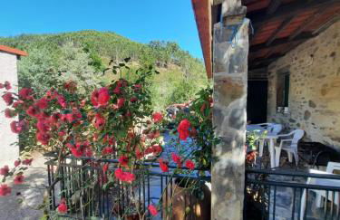 Casa Penafalcão - Foto 67