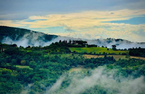 Poolhouse Oasi del Lupo - Foto 20