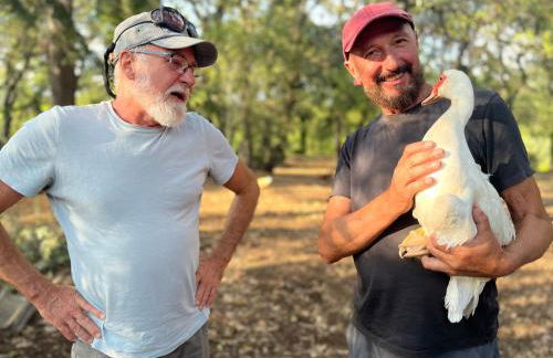 Poggio Roseto - Foto 74