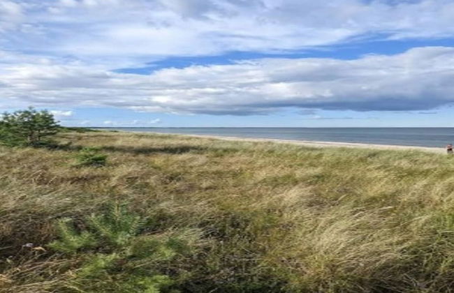 5 Person Holiday Home in Millinge - Foto 22