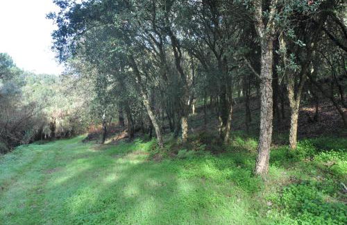 Quinta do Bom Vento - Photo 119