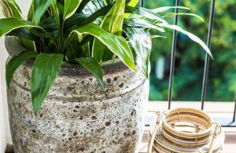 Terreno Suites - Photo 95