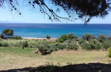 Margarita House - Photo 18