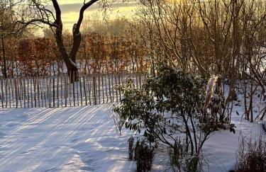 Ferienhaus am Saaler Bodden - Foto 34