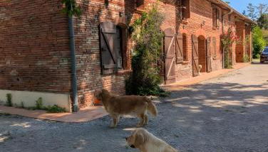 Ferme Pédagogique Bordeneuve - Foto 5