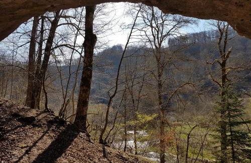 Sonnenhof, Ferienwohnung auf Reitanlage - Foto 49