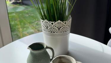 Tinyhouse Frida &ndash Stilvolle Auszeit am See Natur & Ruhe in Stuer Mecklenburgische Seenplatte - Foto 3