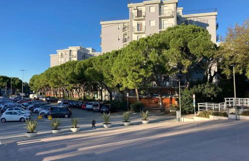 Marine Pearl - Foto 11