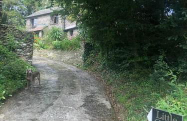 Littlecross Cottage - Foto 33