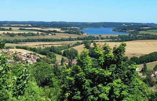 Le nid d hirondelles - Terrasse Jardin Grand garage - Photo 12