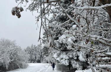 Ferienwohnung Schwarzwald Lodge - Foto 23