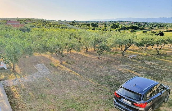 Holiday Home Olive Paradise - Photo 32