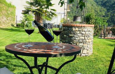 Green House - Foto 4