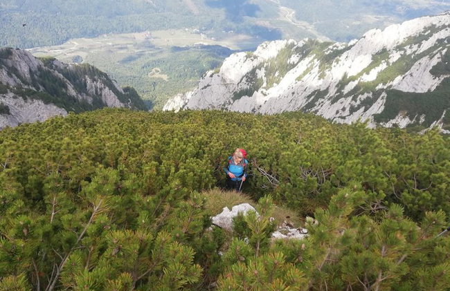 PRIVATE, MEDIUM Day Hike in Carpathian Mountains - Photo 9