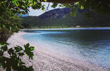 Blumenhaus (Spiti Louloudia) - Foto 47