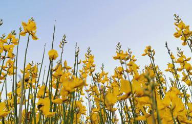 Apartments Silver - Photo 41