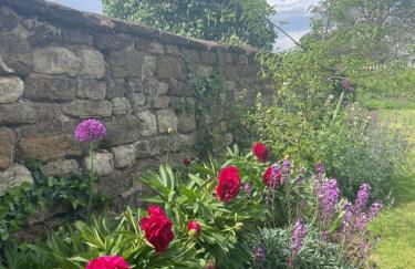 The Cobbles - Photo 23