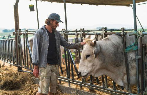 Agriturismo Al Girasole - Foto 33