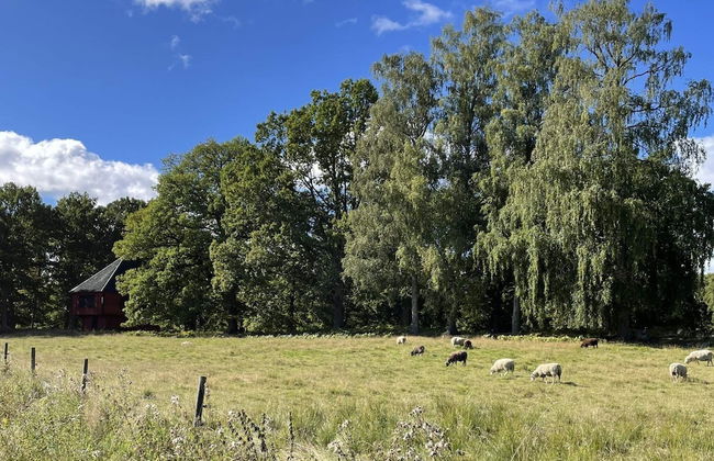 4 Person Holiday Home in Hogsjo-by Traum - Foto 11