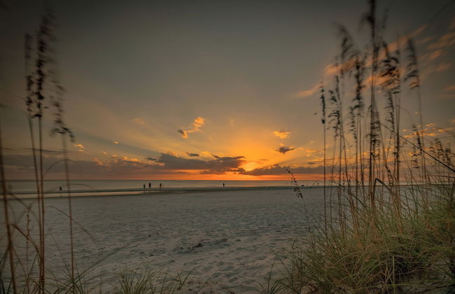 Seashell 19 - Foto 8