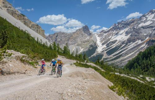 App. Tamanhof - Photo 37