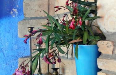 Ilios Studios - Foto 29