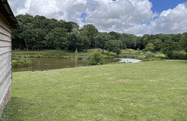 Lovely 1-bed Cottage in Rural Cowbeech Hailsham - Foto 5