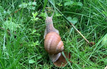 Strandlust Döbeln - Bungalow für eine gemütliche Auszeit zu jeder Jahreszeit - Foto 30