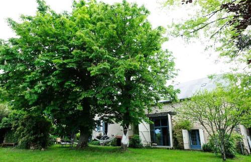 La vie calme - Foto 42