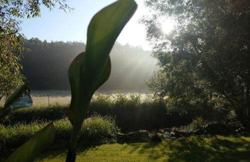 Wald-Apartment - Foto 22