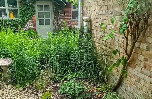 Meadow Cottage - Foto 20