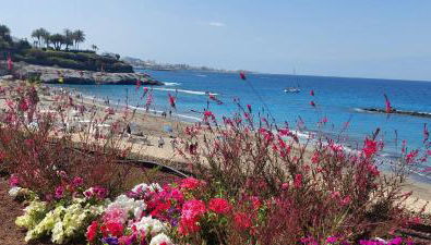 SUITE Las Terrazas Favorite Place Costa Adeje - Foto 4