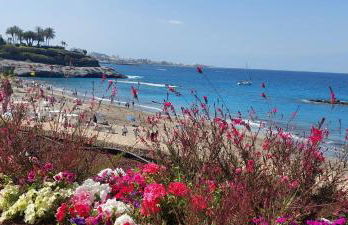 SUITE Las Terrazas Favorite Place Costa Adeje - Foto 4