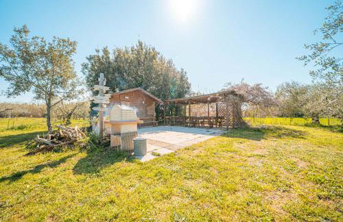 Casa RiVa - Among olive trees and the Tuscan coast - Photo 24