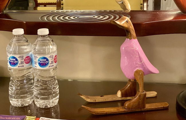 St-Sauveur Lovely Studio - Photo 33