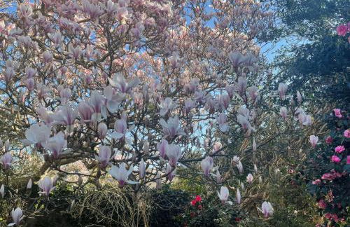 Gweryl Lodge - Foto 48