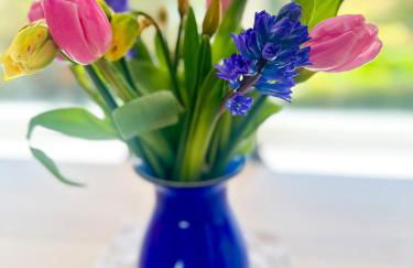 Little Willow Bank - 1 bed luxury apartment between Salisbury and The New Forest - Foto 53