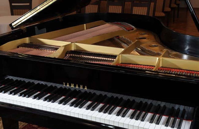 Concert de piano classique de Chopin - Photo 6