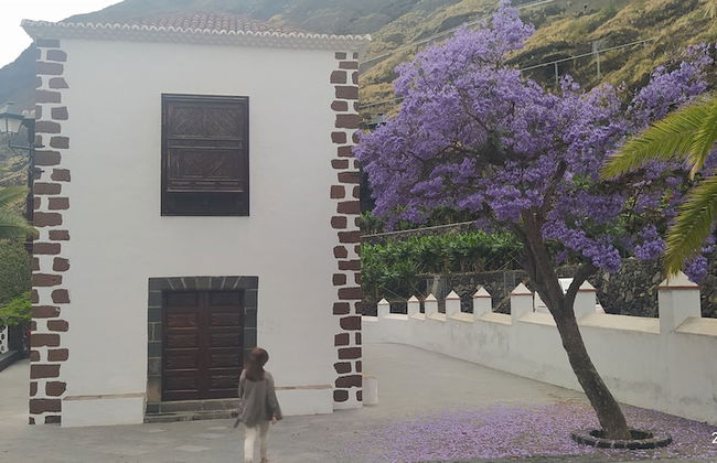 Trébol "trail Mountain La Palma" Vistas Al Mar - Foto 39