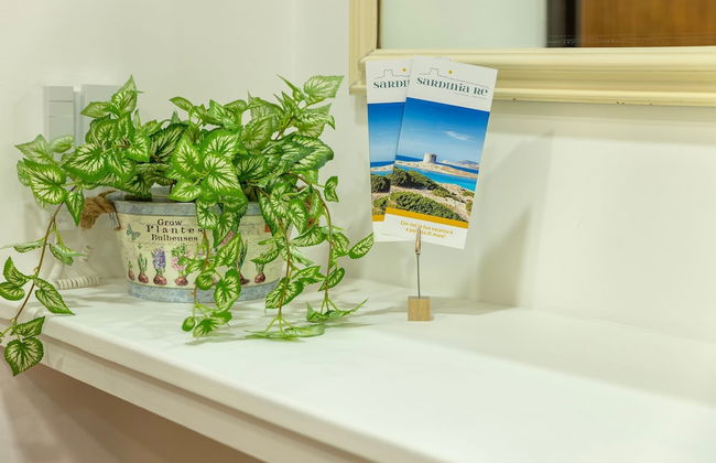 Sardinia Re - Loft Antica Italia - Foto 34