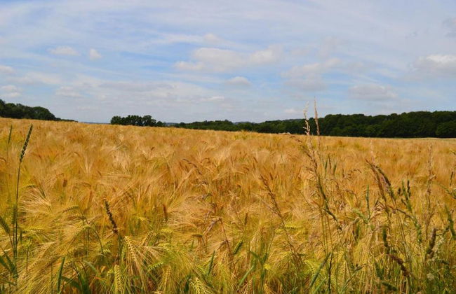 Amazing Lodge With Shared Pool - Photo 27